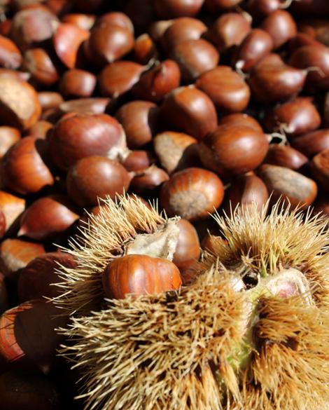 Sagra della castagna